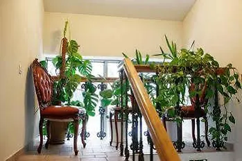 Hotel Friedricho Pasazas Klaipeda