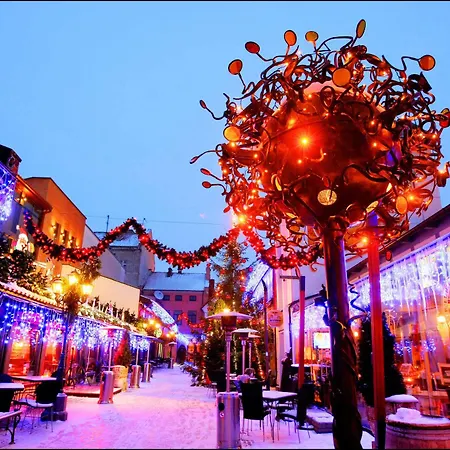 Friedricho Pasazas Hotel