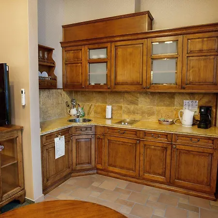 호텔 Friedricho Pasazas 3*