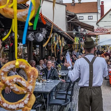 Friedricho Pasazas 3*