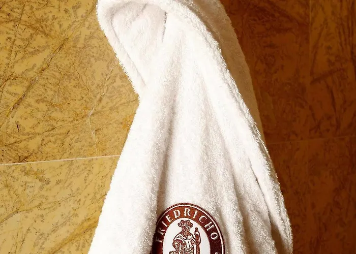 Ξενοδοχείο Friedricho Pasazas 3*