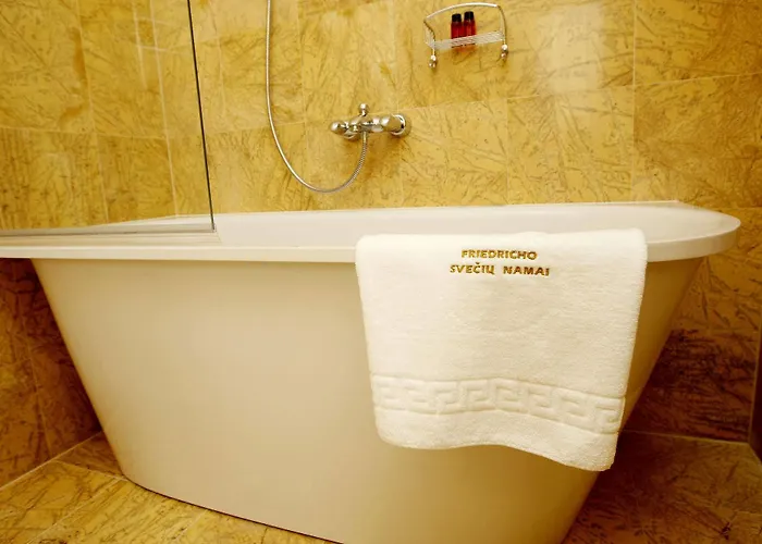 Ξενοδοχείο Friedricho Pasazas 3*