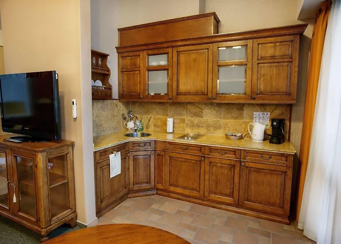 Ξενοδοχείο Friedricho Pasazas 3*