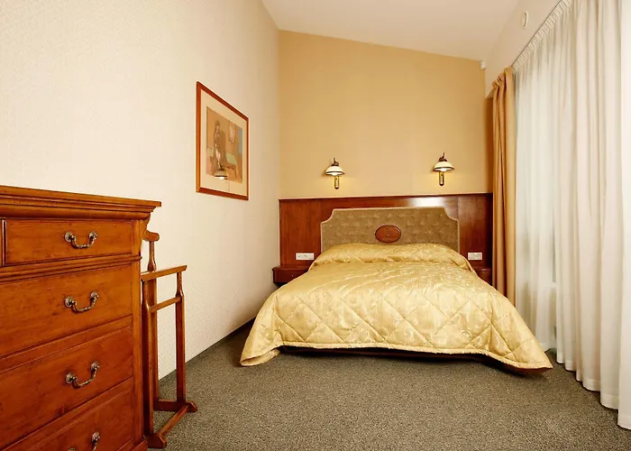 Ξενοδοχείο Friedricho Pasazas 3*