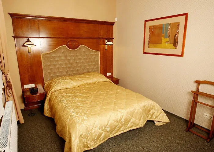 Ξενοδοχείο Friedricho Pasazas 3*