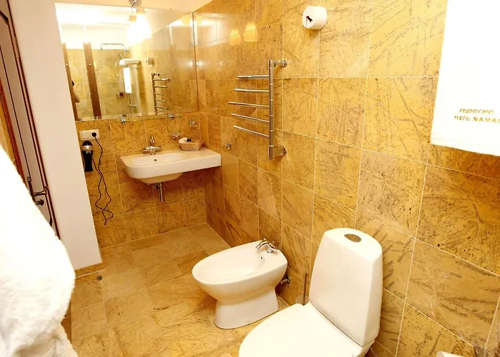 Friedricho Pasazas 3*